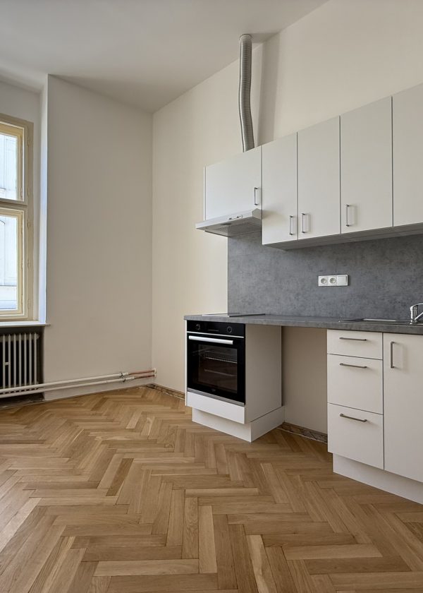 Rekonstrukce prostor (ateliéry)
